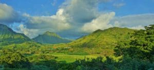 Hawaii's Diverse Landscape Supports Many Species to Hunt | Hunting Magazine