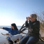 Quality Binoculars For Birdwatching