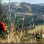 Hunting Wild Boar in Lomensko