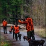 Hunting Wild Boar in Lomensko