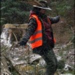 Hunting Wild Boar in Lomensko