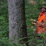 Hunting Wild Boar in Lomensko