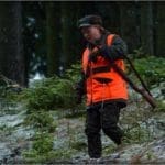 Hunting Wild Boar in Lomensko