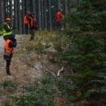 Hunting Wild Boar in Lomensko