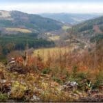 Hunting Wild Boar in Lomensko