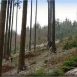 Hunting Wild Boar in Lomensko