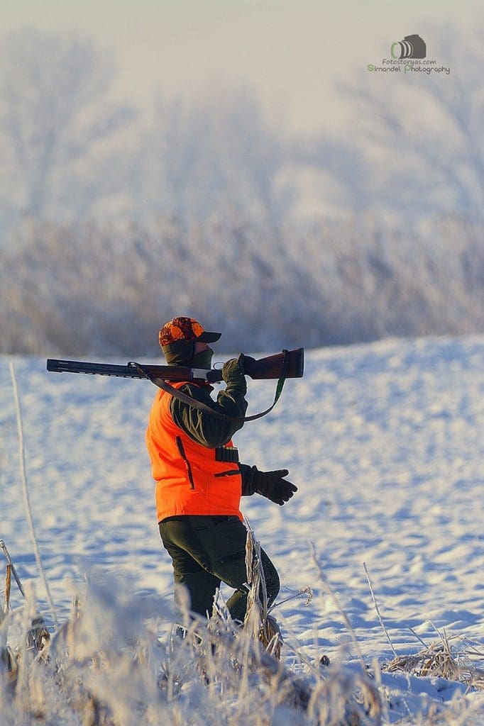 Hunting in The Snow in The Heart of Europe (Slovakia &ndash;Veľk&yacute; Grob)