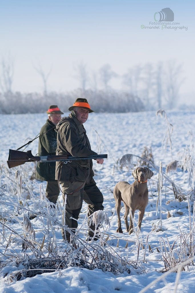 Hunting in The Snow in The Heart of Europe (Slovakia &ndash;Veľk&yacute; Grob)