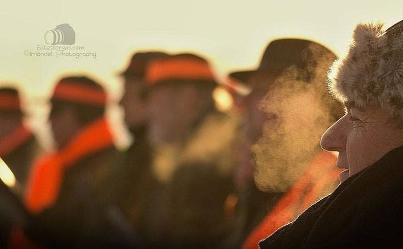 Hunting in The Snow in The Heart of Europe (Slovakia &ndash;Veľk&yacute; Grob)