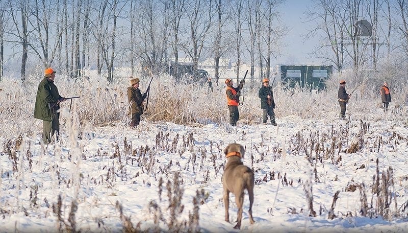 Hunting in The Snow in The Heart of Europe (Slovakia &ndash;Veľk&yacute; Grob)