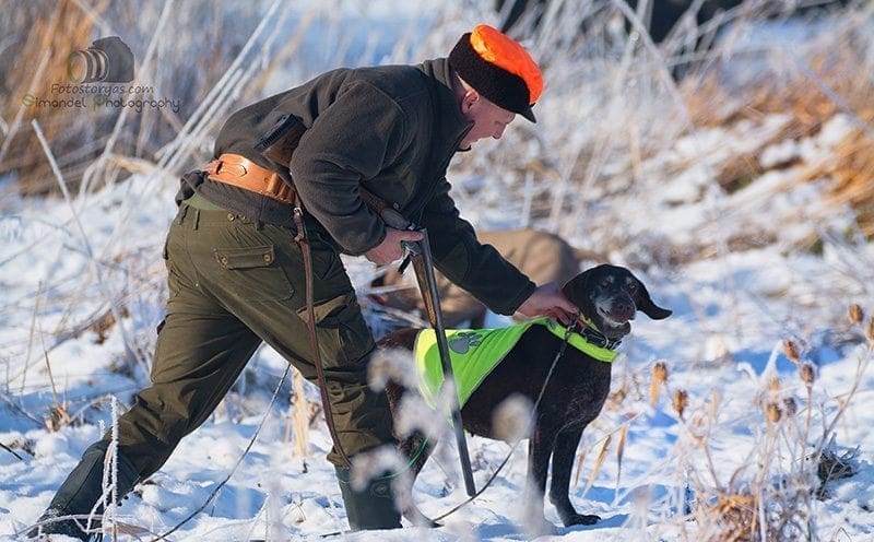 Hunting in The Snow in The Heart of Europe (Slovakia &ndash;Veľk&yacute; Grob)