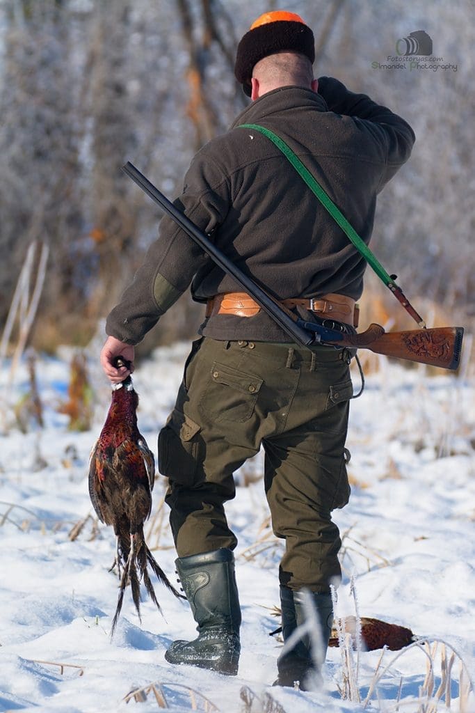 Hunting in The Snow in The Heart of Europe (Slovakia &ndash;Veľk&yacute; Grob)