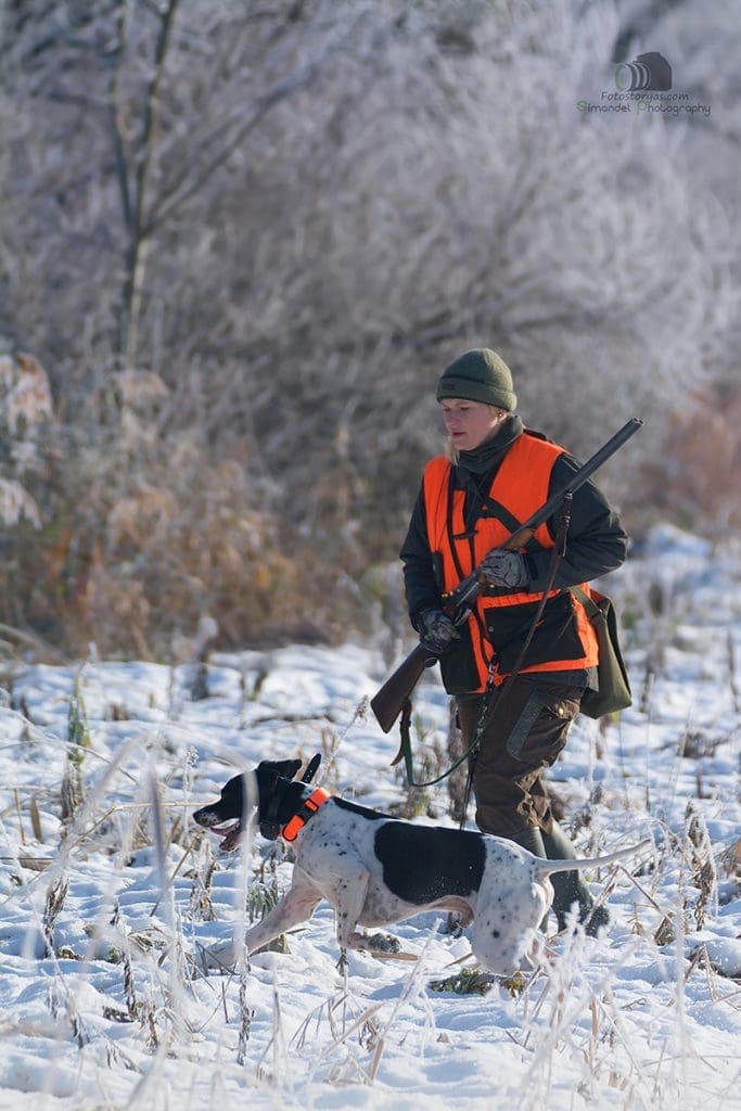 Hunting in The Snow in The Heart of Europe (Slovakia &ndash;Veľk&yacute; Grob)
