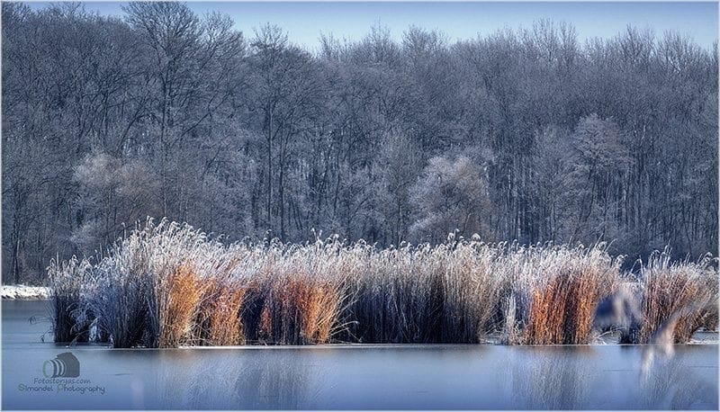 Hunting in The Snow in The Heart of Europe (Slovakia &ndash;Veľk&yacute; Grob)
