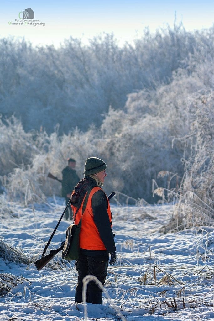 Hunting in The Snow in The Heart of Europe (Slovakia &ndash;Veľk&yacute; Grob)