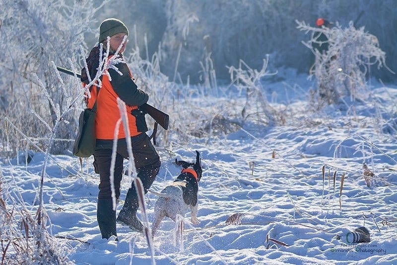 Hunting in The Snow in The Heart of Europe (Slovakia &ndash;Veľk&yacute; Grob)