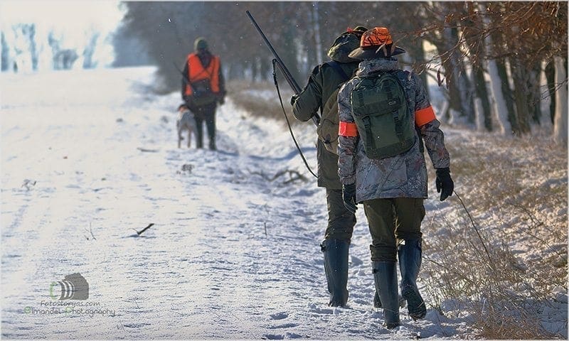 Hunting in The Snow in The Heart of Europe (Slovakia &ndash;Veľk&yacute; Grob)