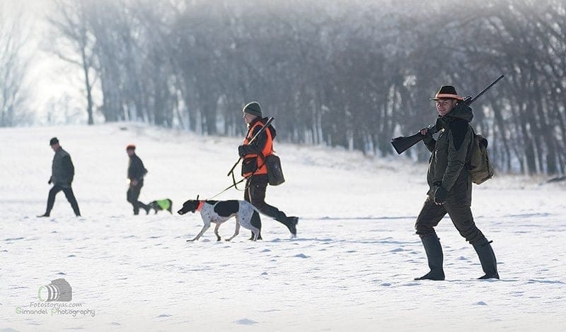 Hunting in The Snow in The Heart of Europe (Slovakia &ndash;Veľk&yacute; Grob)