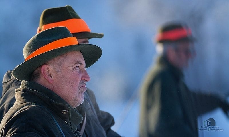 Hunting in The Snow in The Heart of Europe (Slovakia &ndash;Veľk&yacute; Grob)