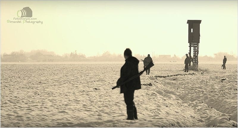 Hunting in The Snow in The Heart of Europe (Slovakia &ndash;Veľk&yacute; Grob)