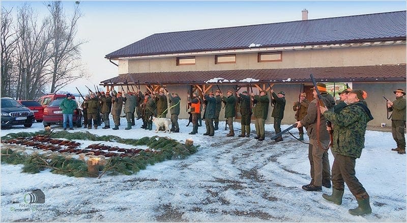 Hunting in The Snow in The Heart of Europe (Slovakia &ndash;Veľk&yacute; Grob)