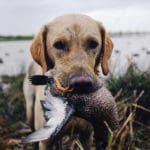 ReelTrail | Buying & Selling Outdoor Gear Online