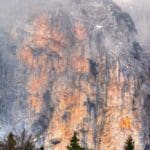 Hunting Chamois