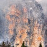 Hunting Chamois