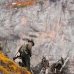Hunting Chamois