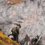 Hunting Chamois