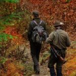 Hunting Chamois