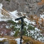 Hunting Chamois