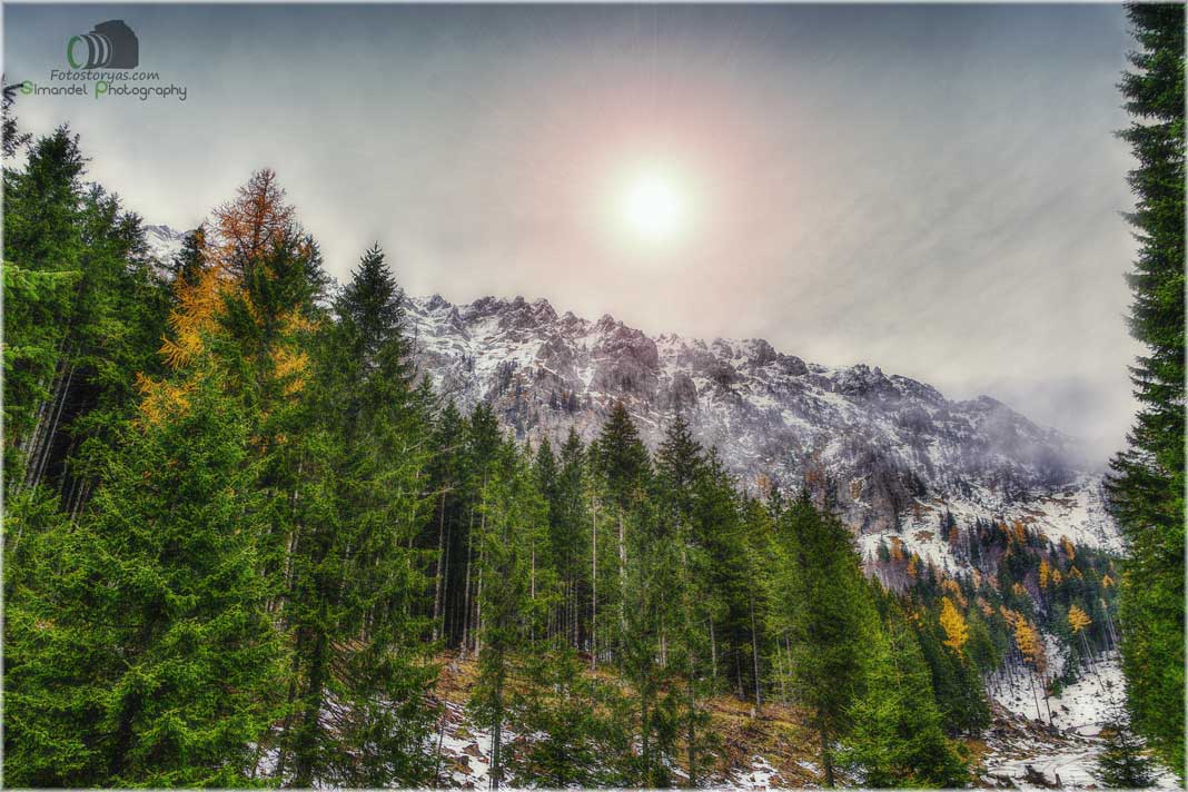 Hunting Chamois On The Roof Of The Mountains
