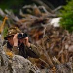 Hunting Chamois