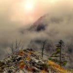 Hunting Chamois
