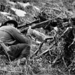 Hunter Shooting
