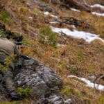 Hunting Chamois On The Roof Of The Mountains
