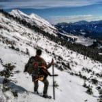 Hunting Chamois On The Roof Of The Mountains