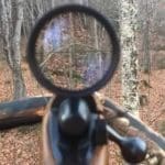 A hunting photo taken right from the deer hunting stand in Bridgewater, Maine during the November Deer Hunting Firearms Season of 2017.