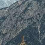 Chamois feeding on Cliff Edge
