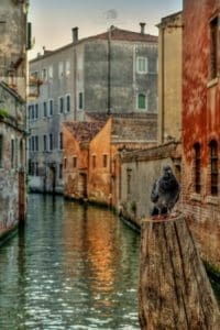 Parco Nazionale delle Dolomiti Bellunesi, Venezia