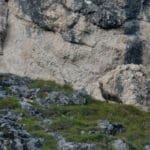 Mountain Vista