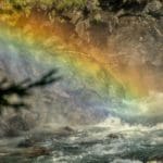 Rainbow | Hunting Magazine