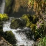 Mountain Stream