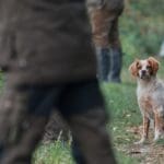 Duck Hunting | Hunting Magazine