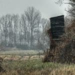 Hunting day in Slovakia