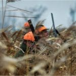 Hunting day in Slovakia