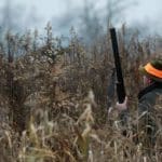 Hunting day in Slovakia