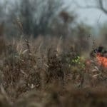 Hunting day in Slovakia