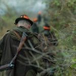 Hunting day in Slovakia